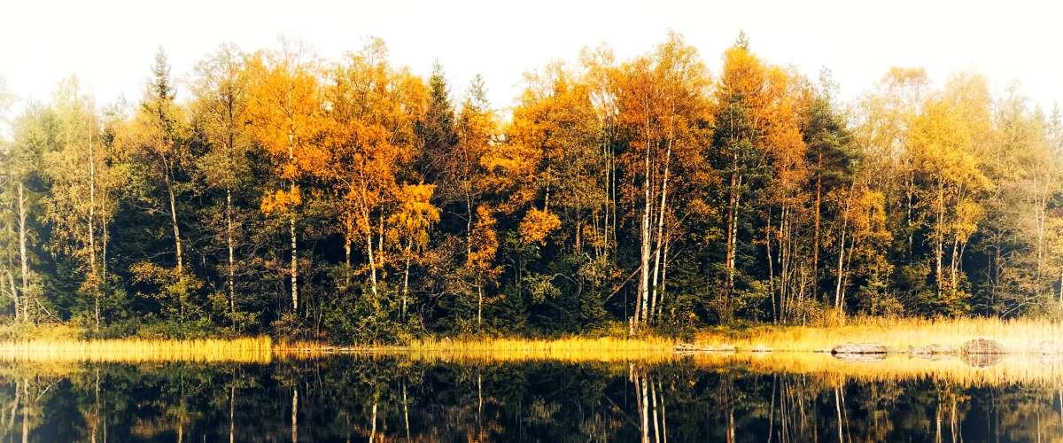 Hornbetasjön