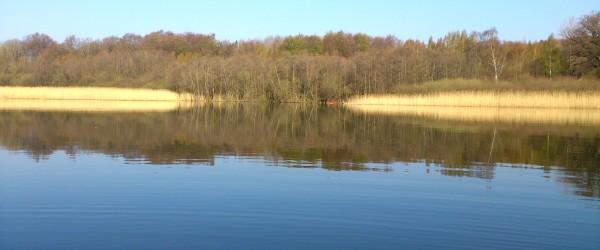 Råbelövssjön - Image 6