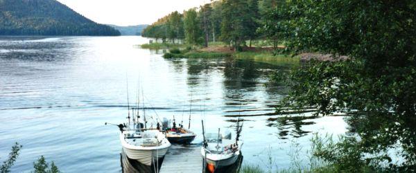 Västra Örten - Image 4
