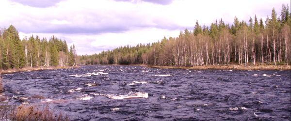 Orrmosjön, Stensjön, Härjeån, mfl. - Image 4