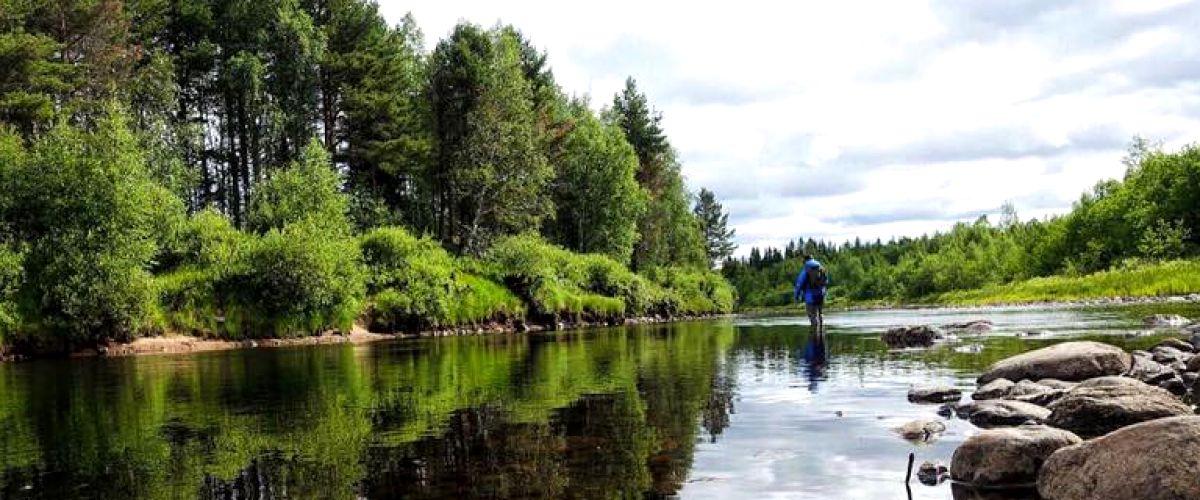 Orrmosjön, Stensjön, Härjeån, mfl. - Image 10