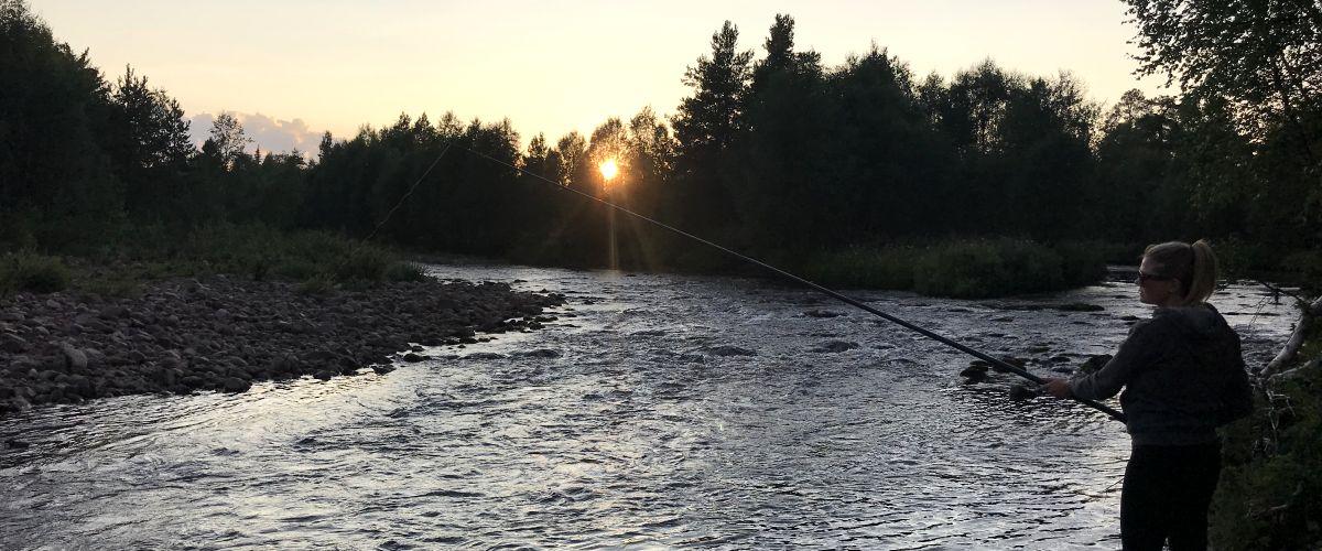 Orrmosjön, Stensjön, Härjeån, mfl. - Image 17