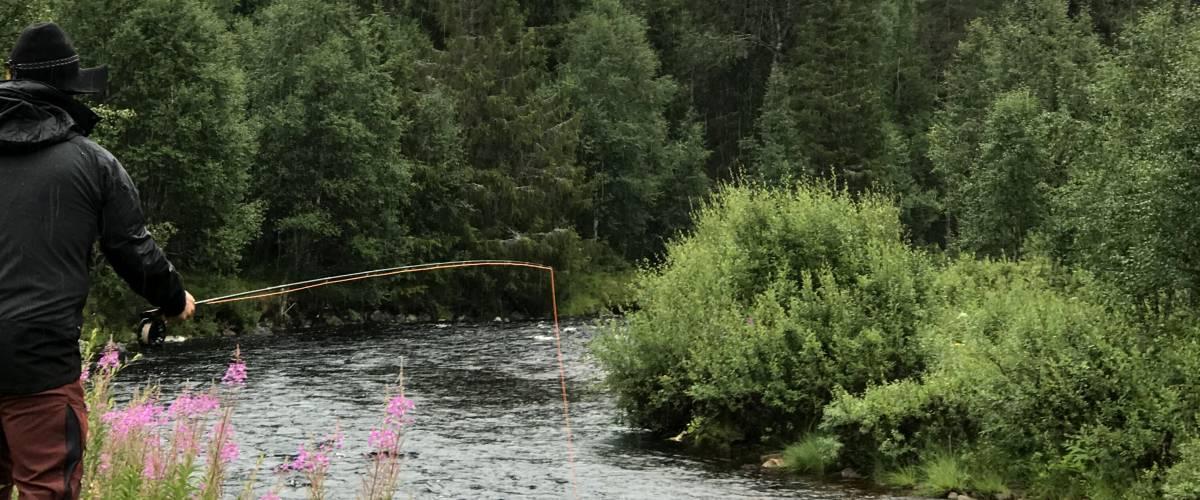 Orrmosjön, Stensjön, Härjeån, mfl. - Image 18