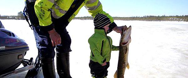 Orrmosjön, Stensjön, Härjeån, mfl. - Image 7