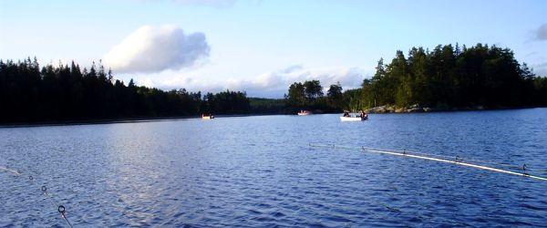 Storsjöns FVO (Borås) - Image 2