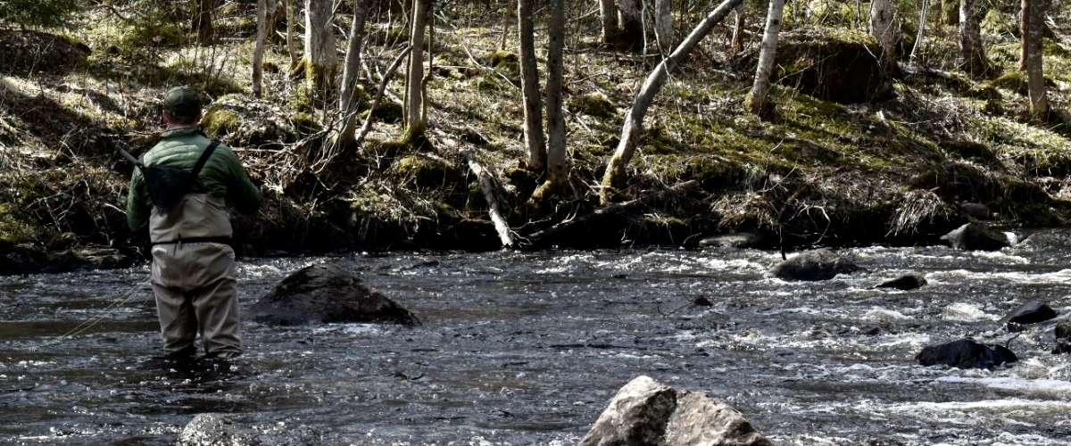 Byströmmen - Image 5