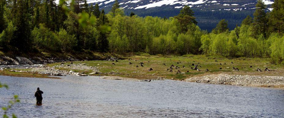 Långå - Image 5
