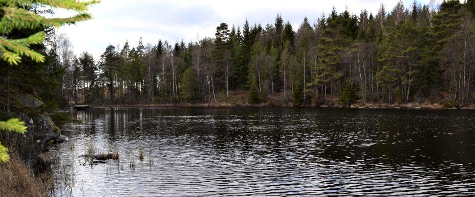 Lilla Lövsjön - Image 3