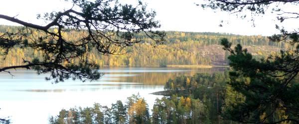 Tenhultasjön - Image 1