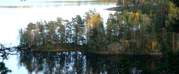 Tenhultasjön - Image 5