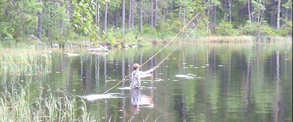 Gräsken, Lillgräsken, Dalsjön och Rocksjön - Image 1