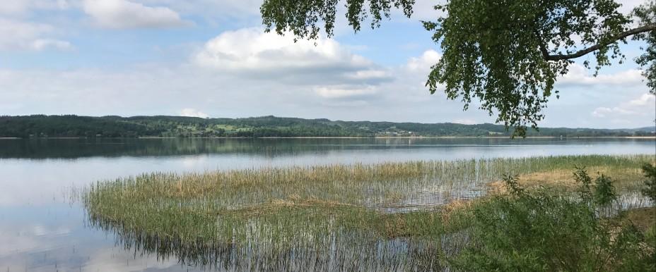 Landsjön - Image 5