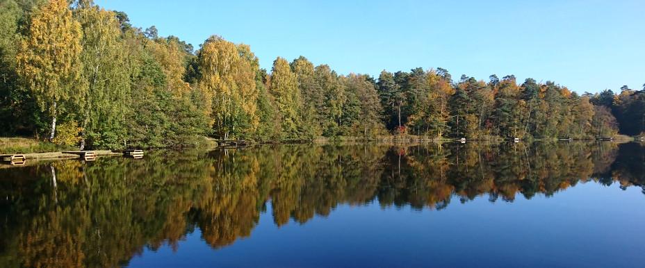 Lilla Hålsjön (Trollsjön) - Image 3
