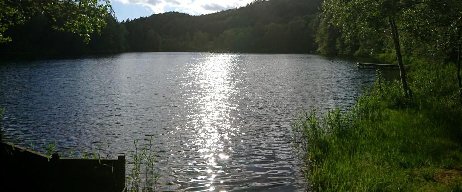 Lilla Hålsjön (Trollsjön) - Image 4
