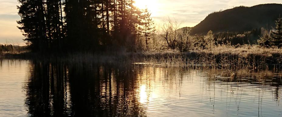 Handsjön, Långtjärnen m fl vatten - Image 7