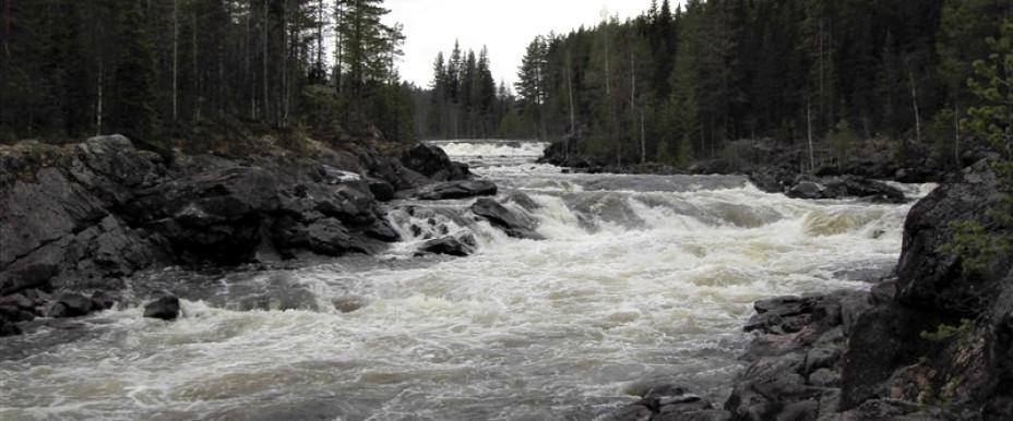 Handsjöforsen