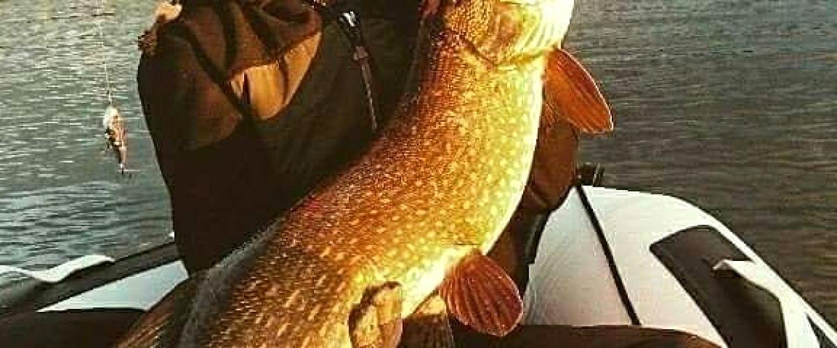 Handsjön, Långtjärnen m fl vatten - Image 16