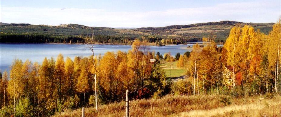Handsjön, Långtjärnen m fl vatten - Image 6