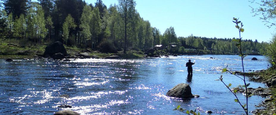Åbyälven m fl vatten - Image 3
