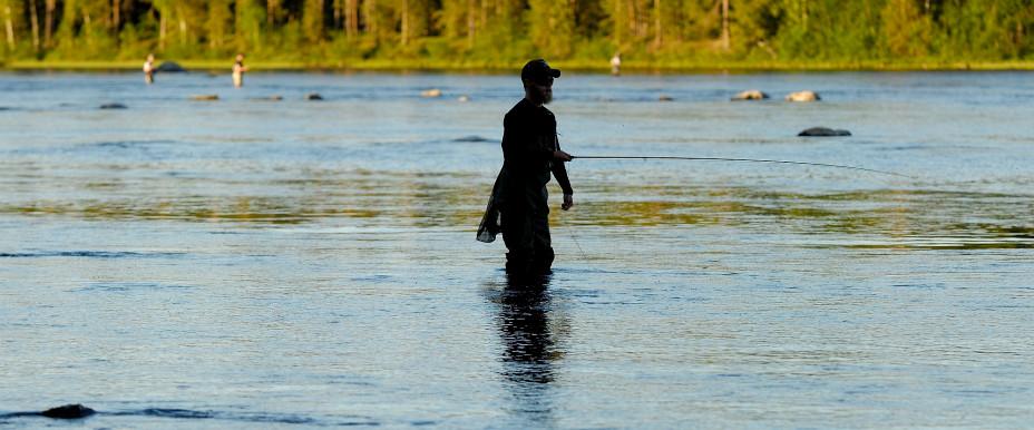Sandvikssjön, Edsforsen m fl vatten - Image 3