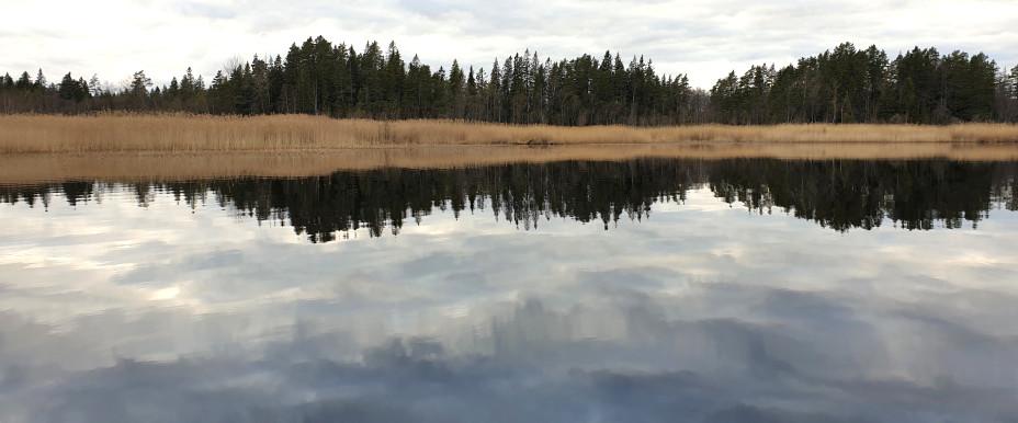 Rastsjön - Image 2