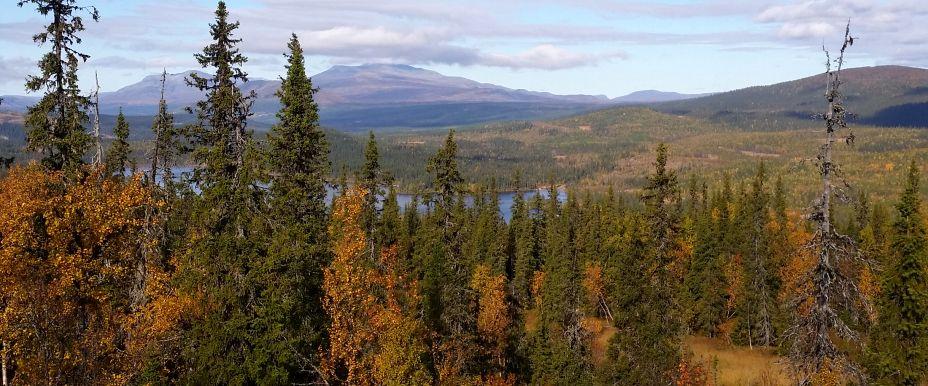 Photo of Mevattnet, Lövsjön, Rissjön m fl vatten
