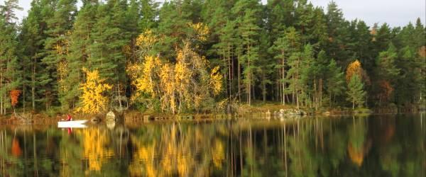 Försjön - Image 2