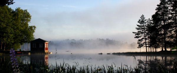 Försjön - Image 3