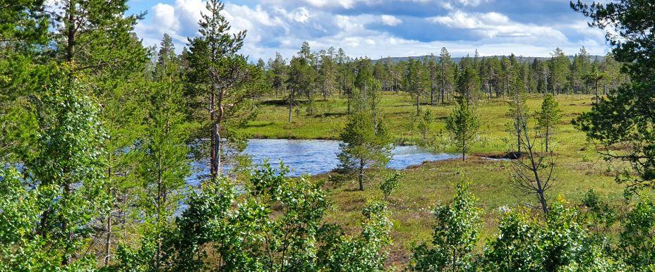 Anjan, Gråsjön, Kallsjön m fl vatten - Image 6
