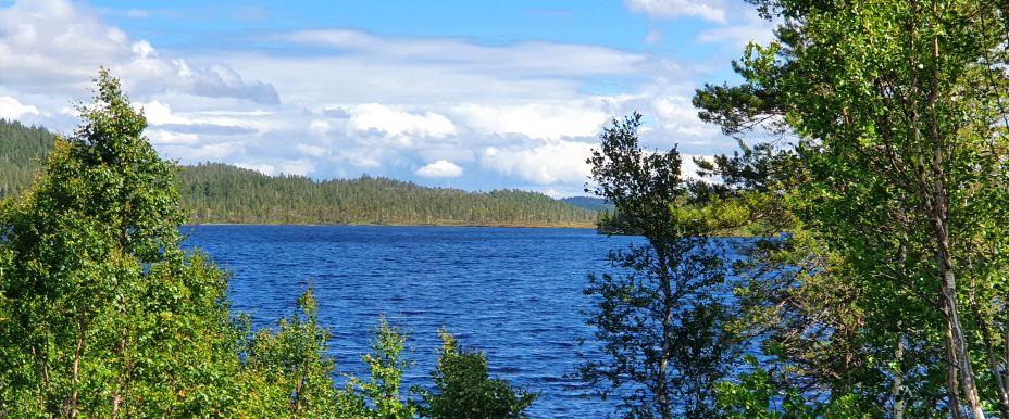 Anjan, Gråsjön, Kallsjön m fl vatten - Image 7