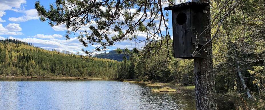 Västerdalälven, Busjön m fl vatten - Image 2