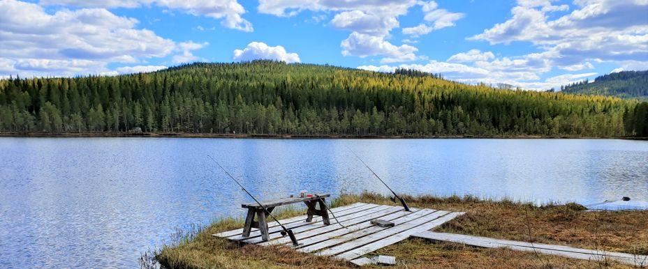 Västerdalälven, Busjön m fl vatten - Image 4