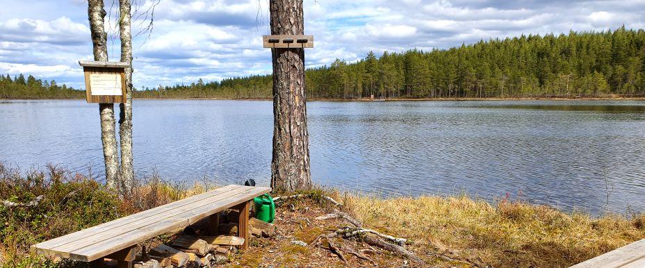 Västerdalälven, Busjön m fl vatten - Image 5