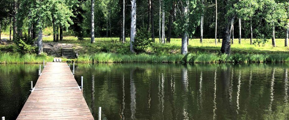 Hjulstockviken - Image 8