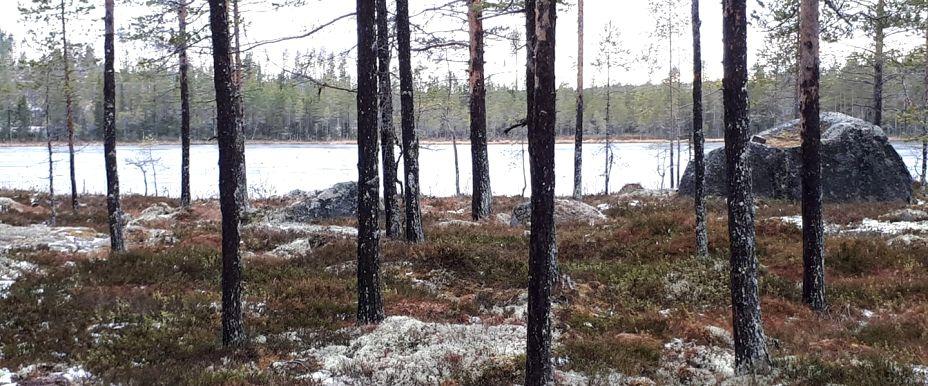 Sidsjön, Stugusjön, Blektjärn m fl vatten - Image 4