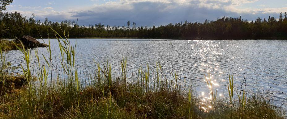 Sidsjön, Stugusjön, Blektjärn m fl vatten - Image 5