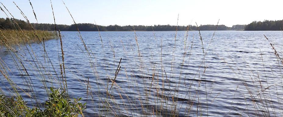 Torserydssjön - Image 2