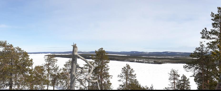 Miekojärvi - Image 1