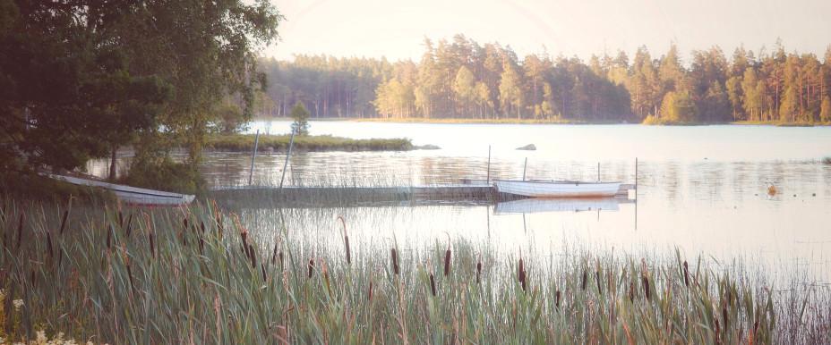 Transjön
