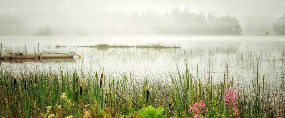 Transjön