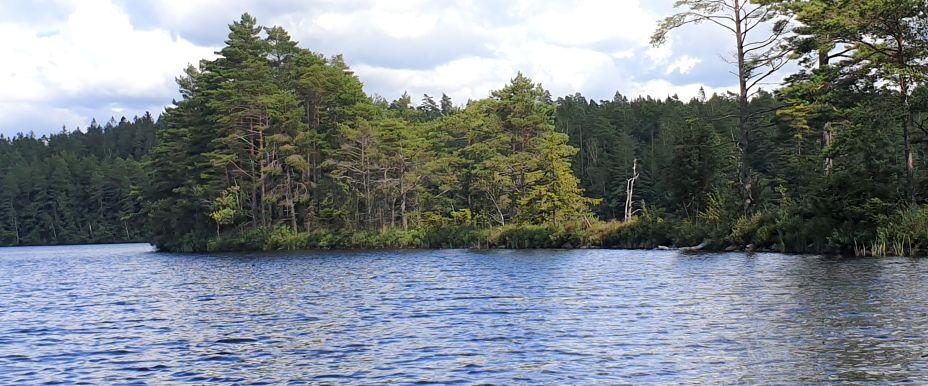 Älvasjön - Image 4