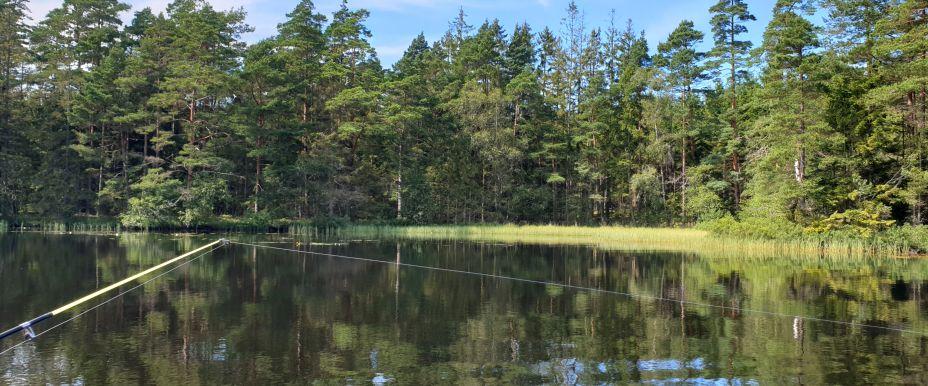 Älvasjön - Image 3