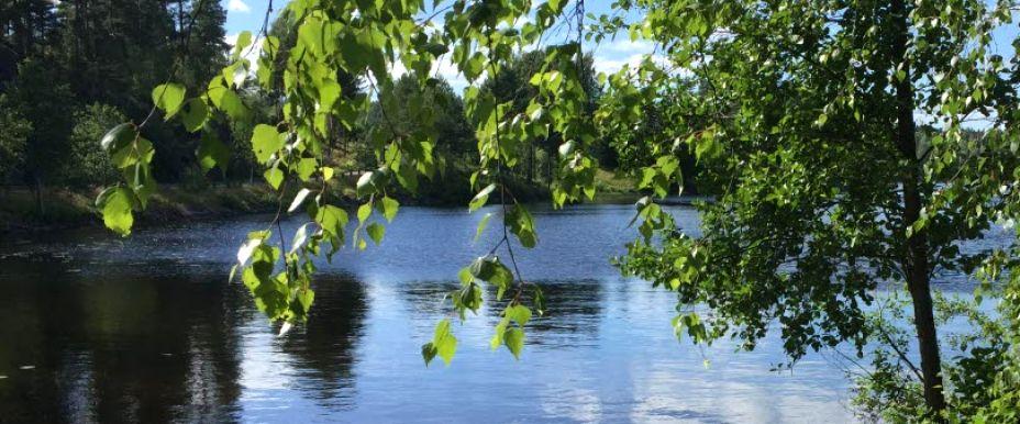Fillingsjön, Håltjärnet, Orsbytjärnen m fl vatten - Image 2