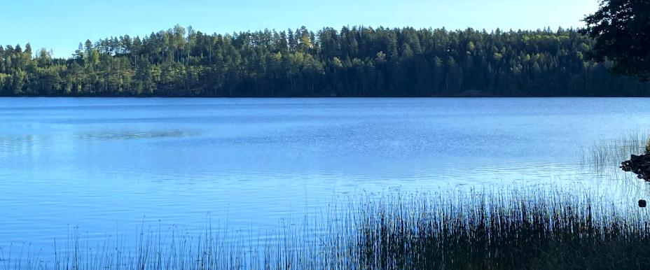 Fillingsjön, Håltjärnet, Orsbytjärnen m fl vatten - Image 5