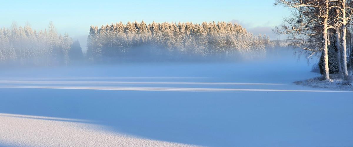 Holmedalssjön, Lianetjärn m fl vatten - Image 4
