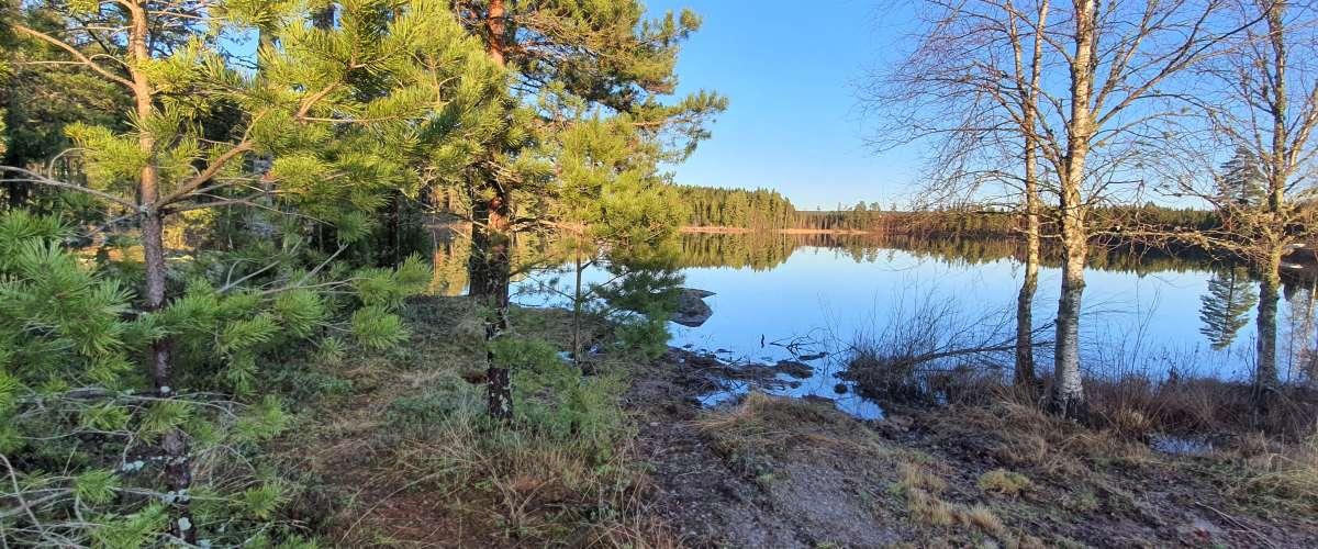 Holmedalssjön, Lianetjärn m fl vatten - Image 5