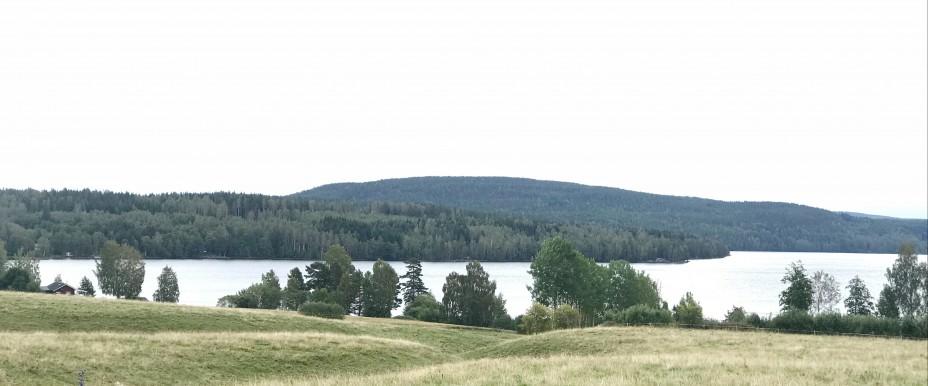 Ränken, Buvattna mfl - Image 2