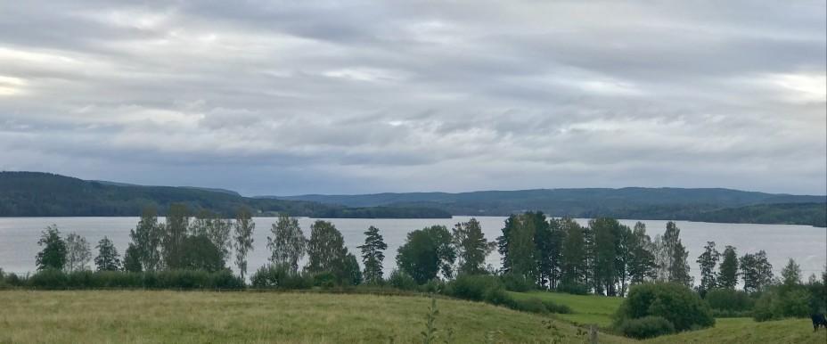 Ränken, Buvattna mfl - Image 3