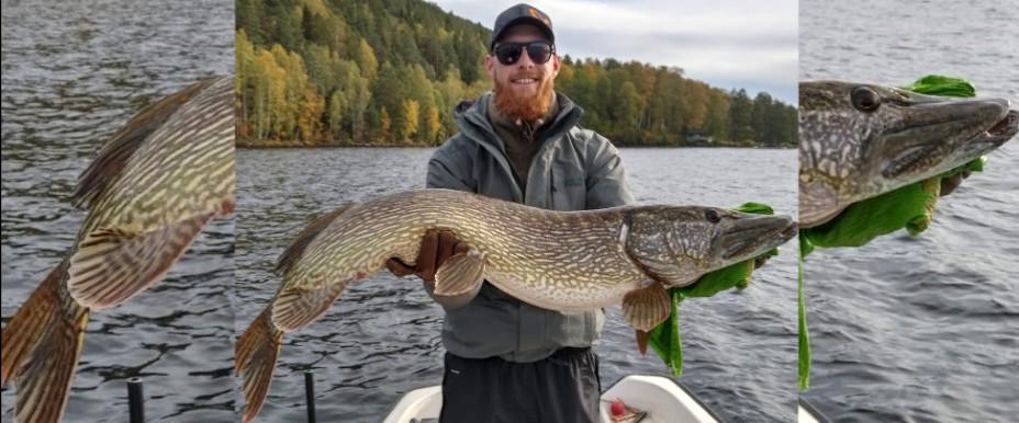 Gädda 120 cm