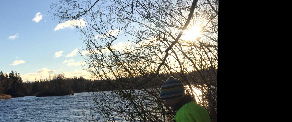 Tjurken  i midvintersol